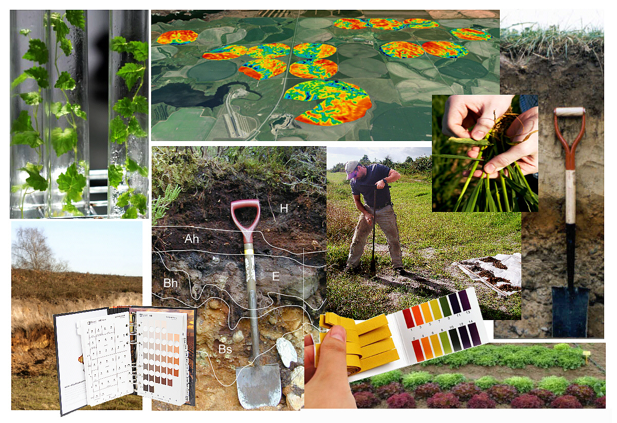 Agronomy