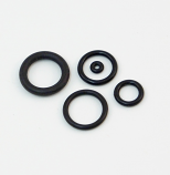 2725 SERIES O-RING REPLACEMENTS
